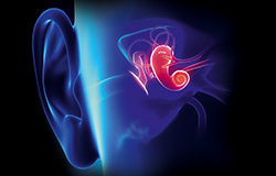 A New Gelatine-based Hemostat for <strong>Sinonasal Surgery:</strong> A Clinical Survey